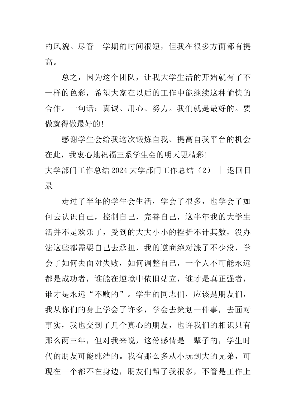 2024大学部门工作总结3篇_第3页