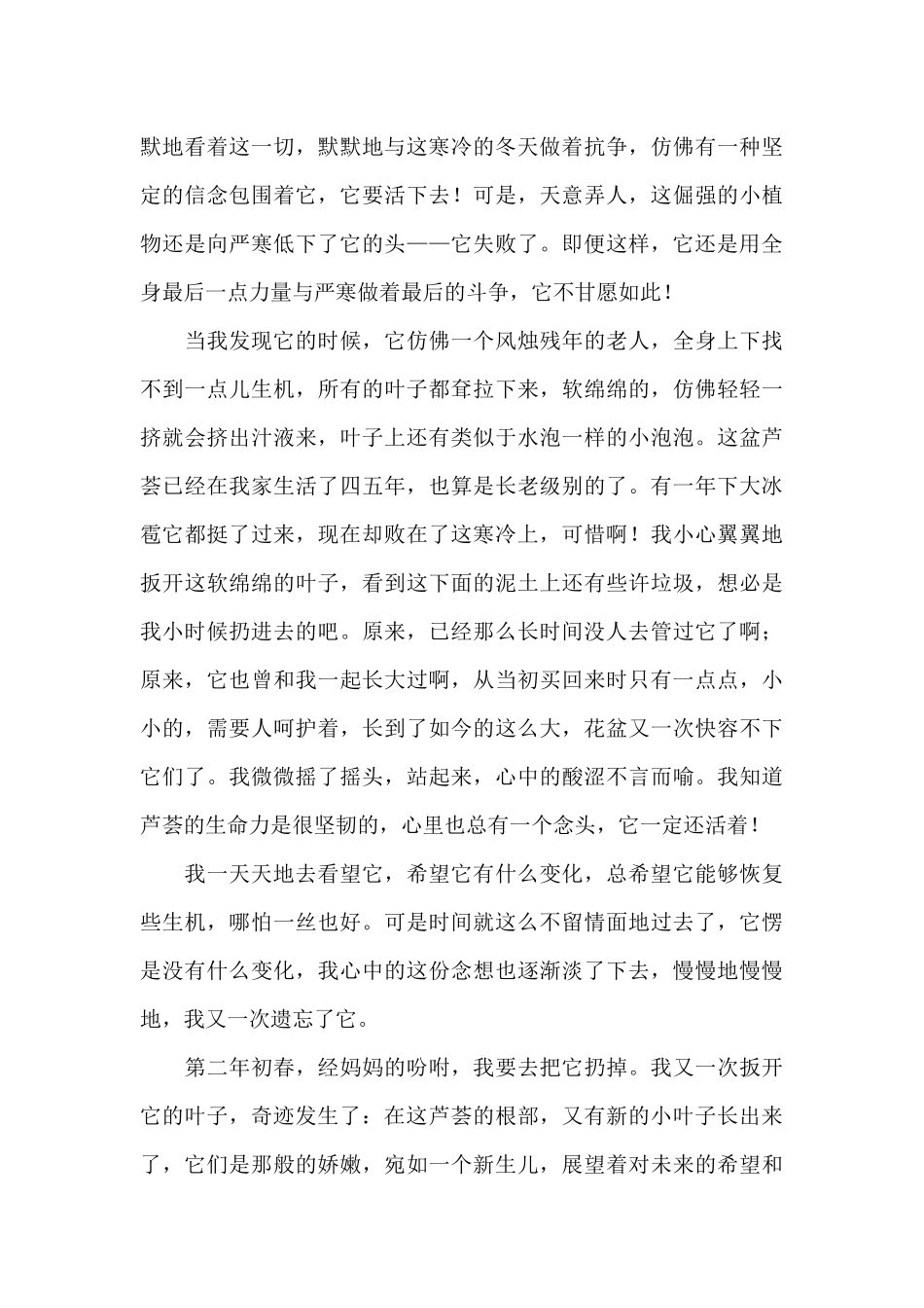 2024奇迹笨小孩电影观后感心得体会最新范文_第3页