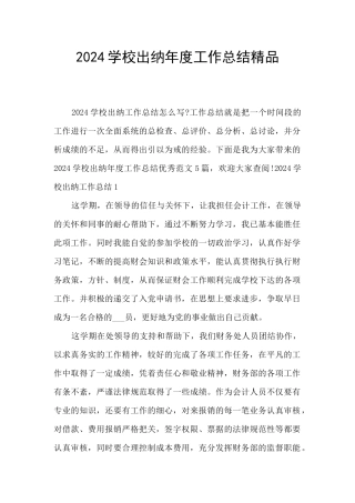 2024学校出纳年度工作总结精品