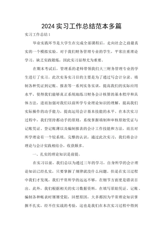 2024实习工作总结范本多篇