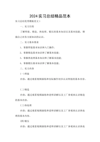 2024实习总结精品范本