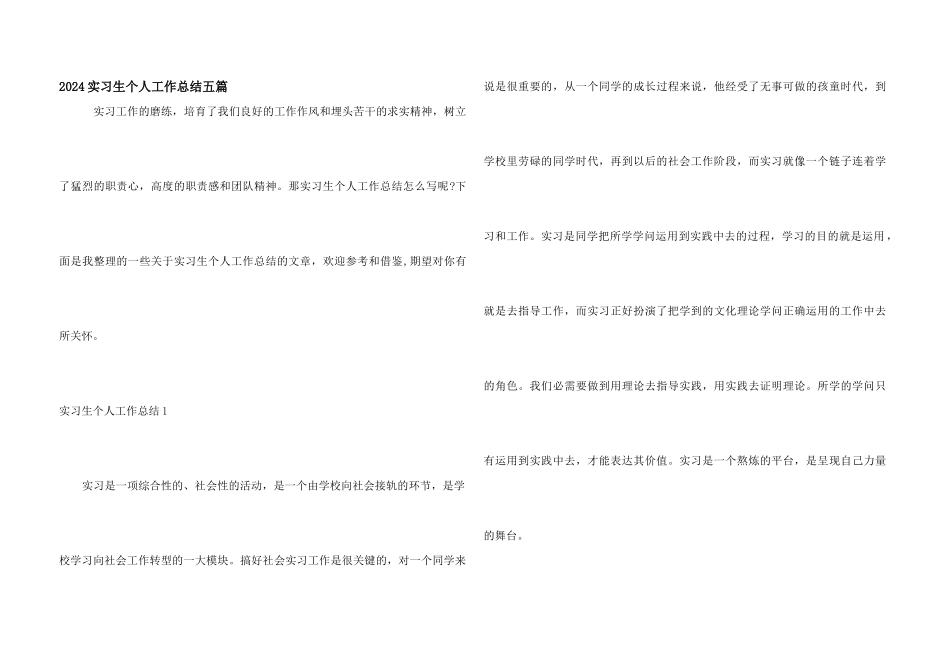 2024实习生个人工作总结五篇_第1页