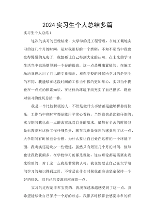 2024实习生个人总结多篇