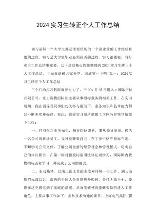 2024实习生转正个人工作总结