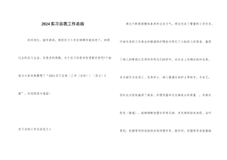 2024实习自我工作总结