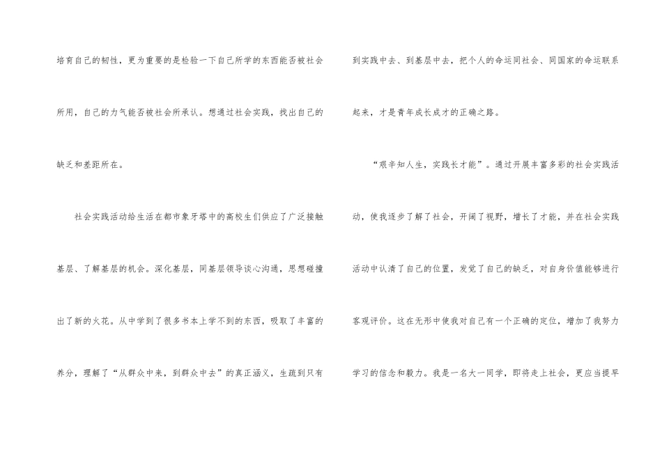 2024实践报告格式模板_第2页