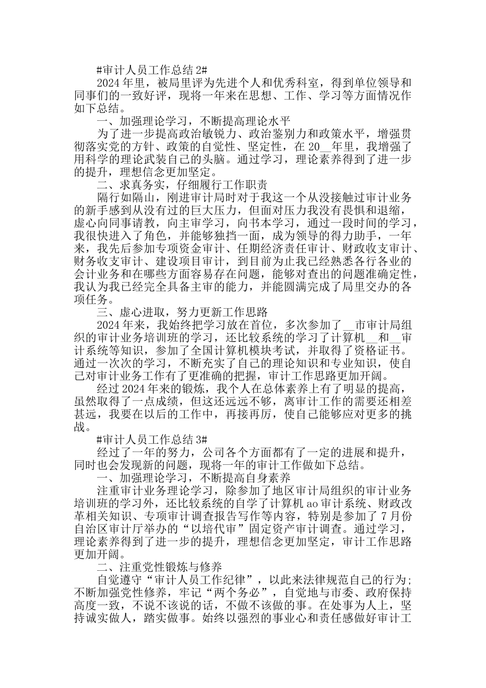 2024审计人员年末个人工作总结模板_第2页