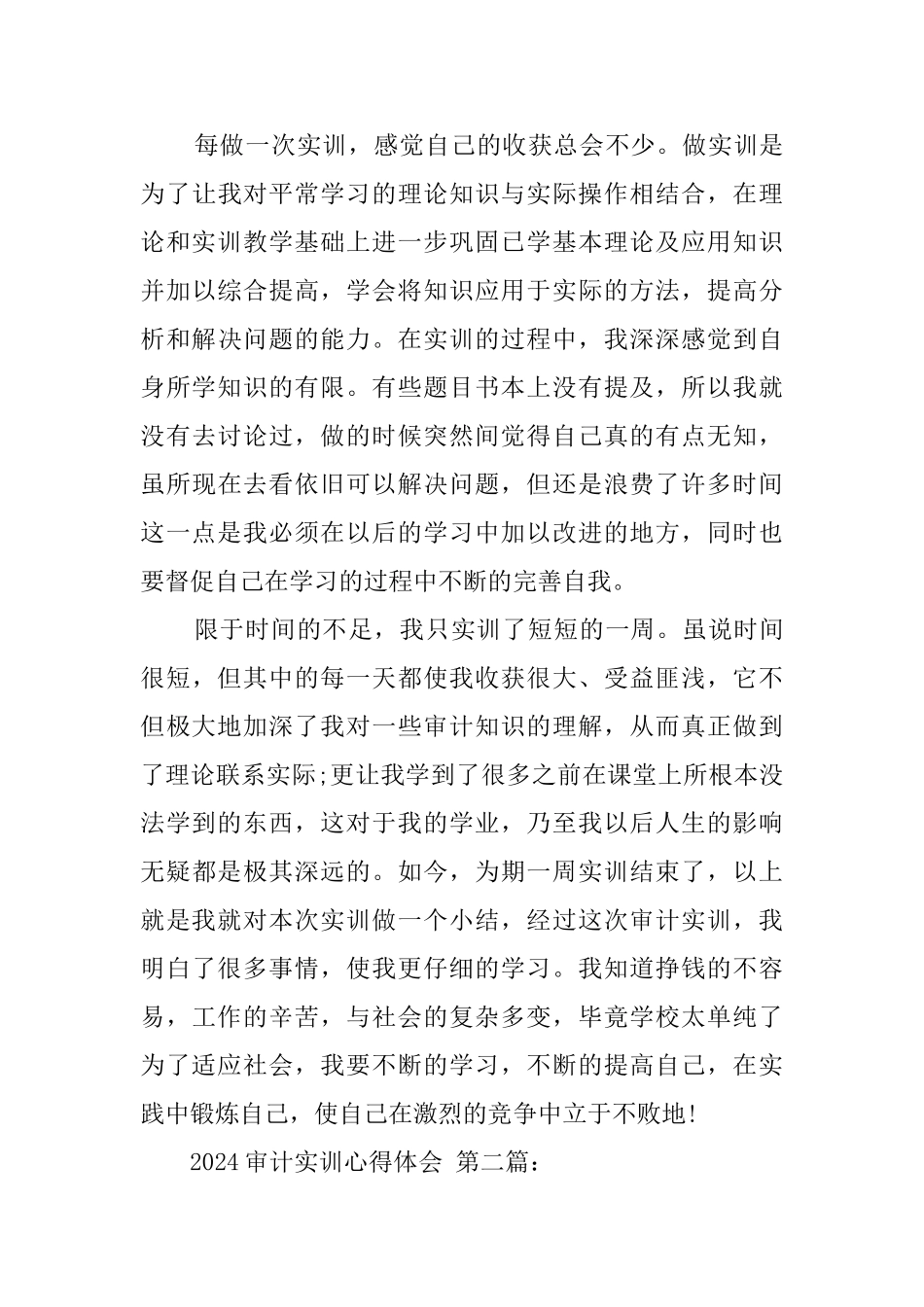 2024审计实训心得体会_第3页