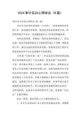 2024审计实训心得体会
