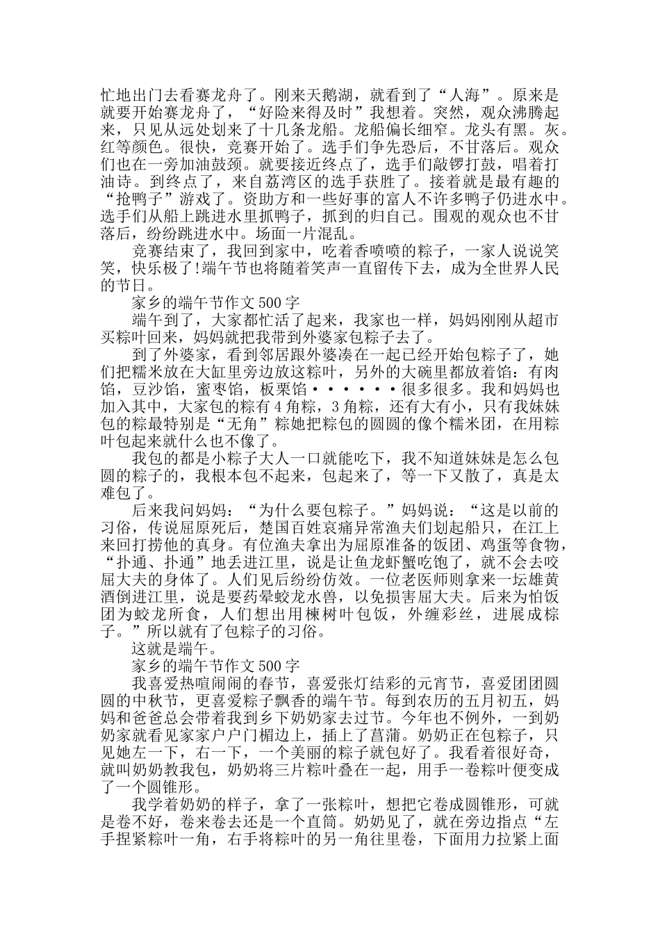 2024家乡的端午节作文500字五篇_第2页