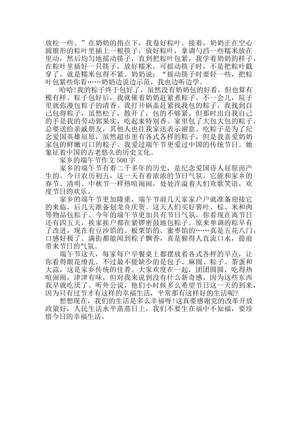 2024家乡的端午节作文500字五篇_第3页