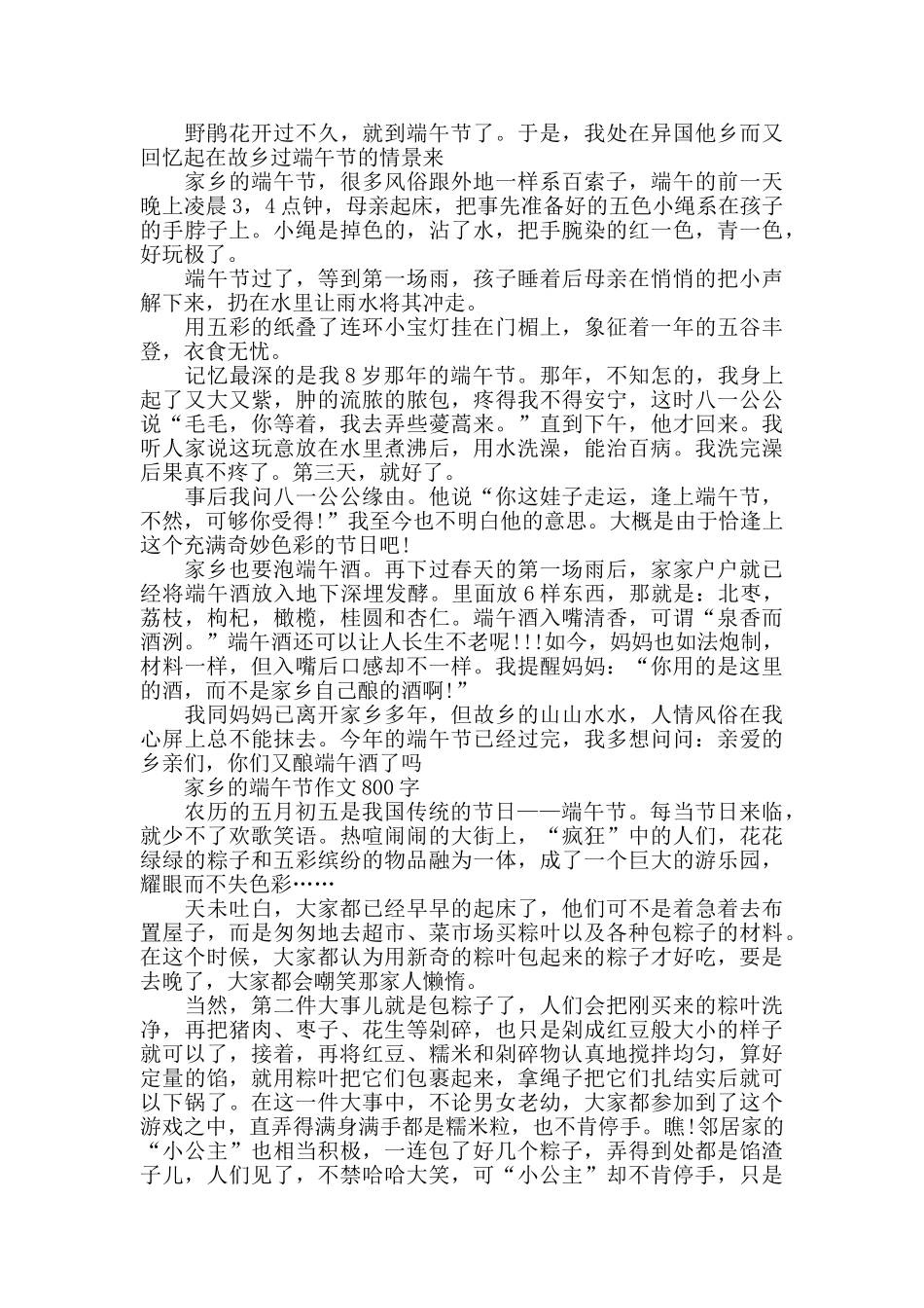 2024家乡的端午节作文800字5篇_第2页