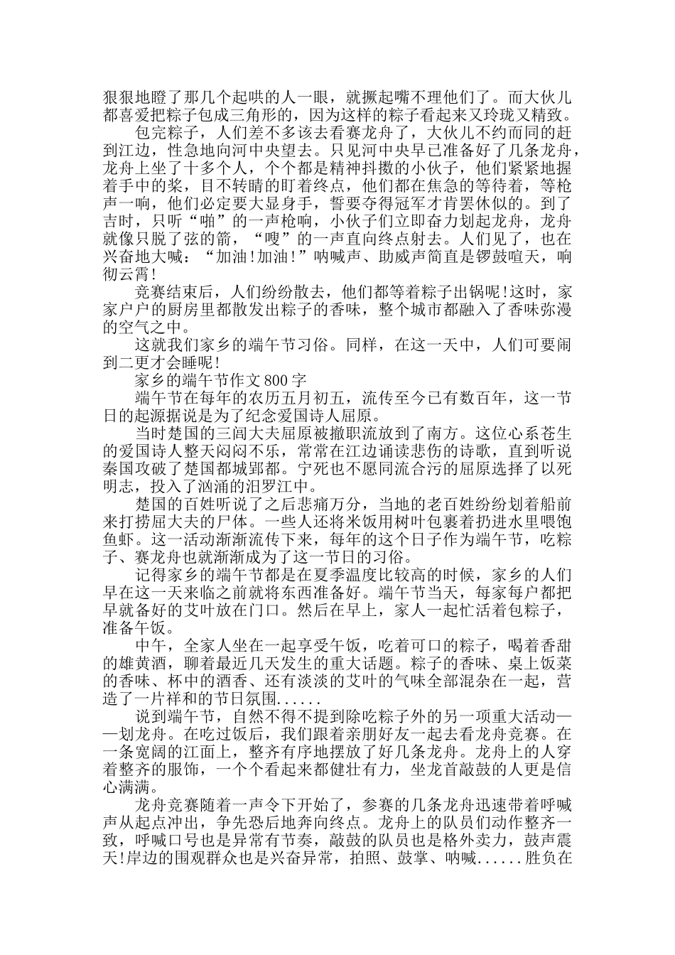 2024家乡的端午节作文800字5篇_第3页