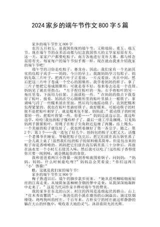 2024家乡的端午节作文800字5篇