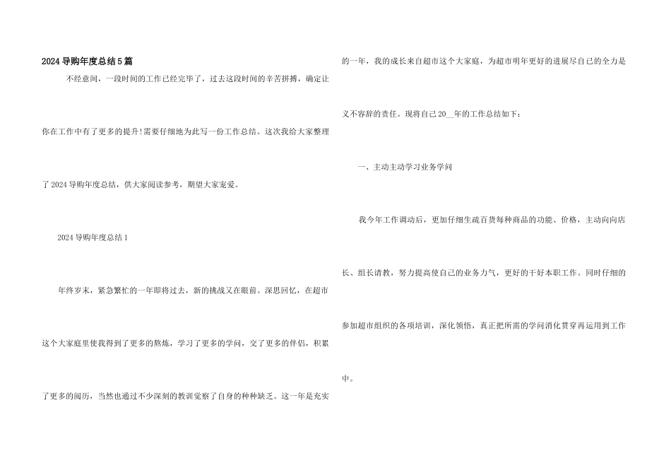 2024导购年度总结5篇_第1页