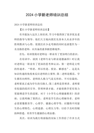 2024小学新教师培训总结