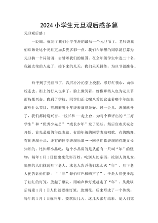 2024小学生元旦观后感多篇