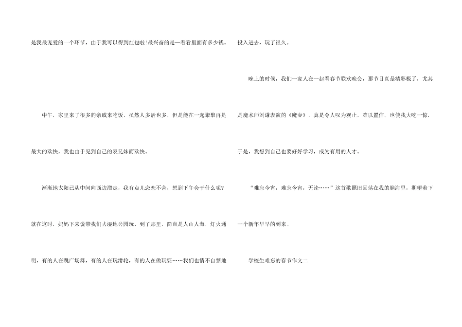 2024小学生难忘的春节_第2页