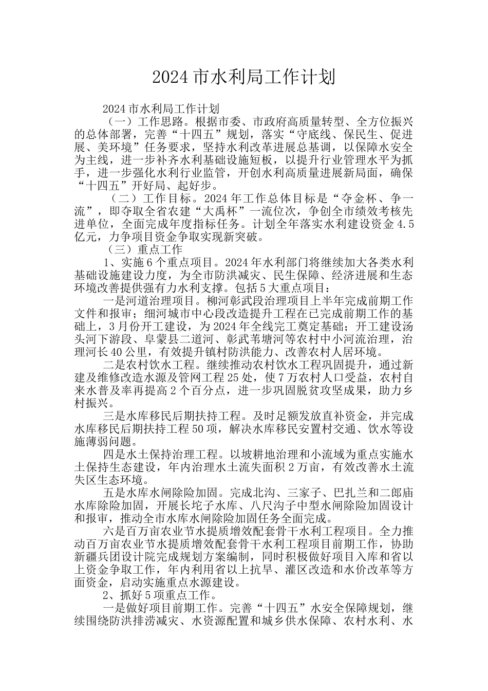2024市水利局工作计划_第1页