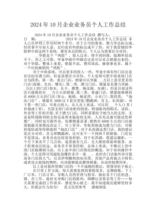 2024年10月企业业务员个人工作总结