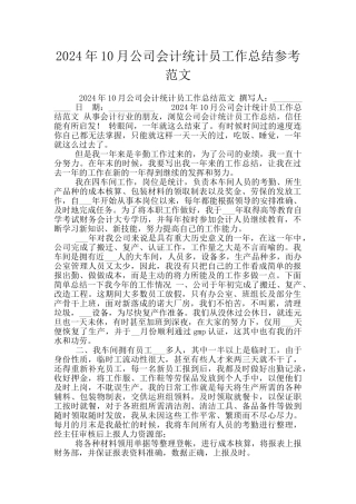 2024年10月公司会计统计员工作总结参考范文