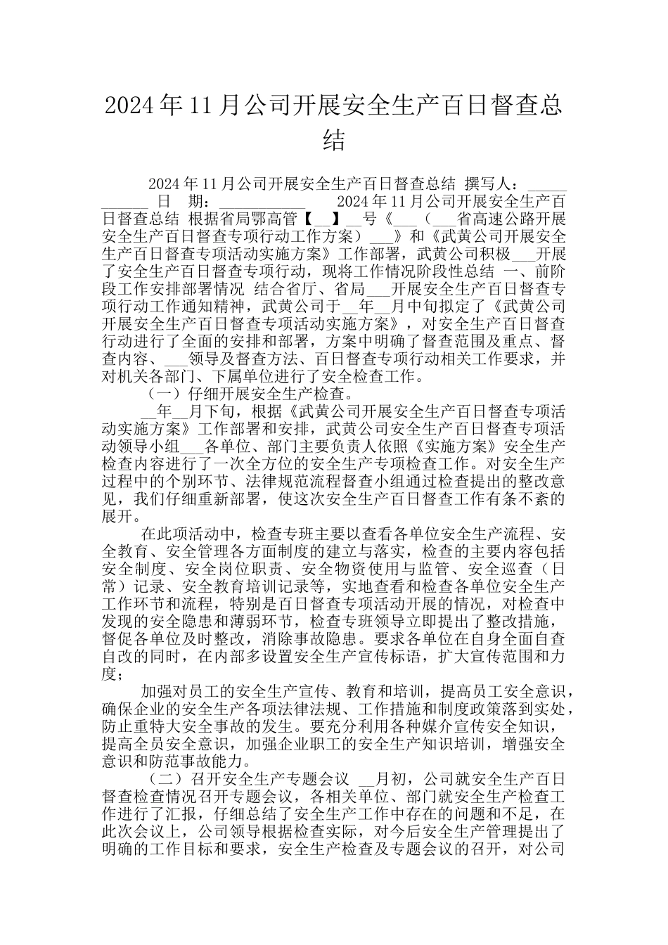 2024年11月公司开展安全生产百日督查总结_第1页