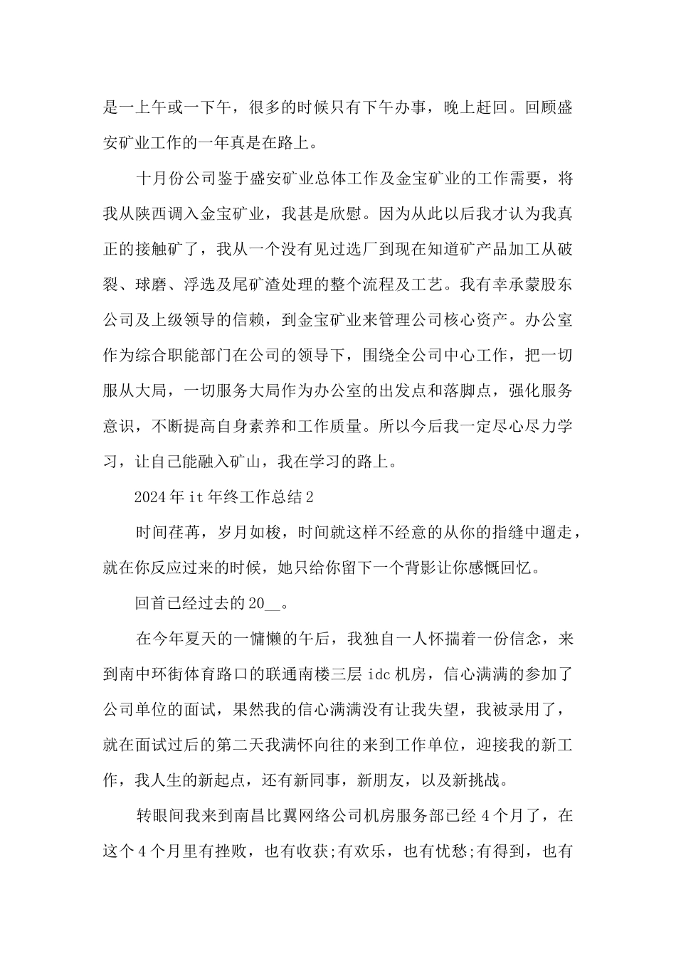 2024年it年终工作总结_第2页