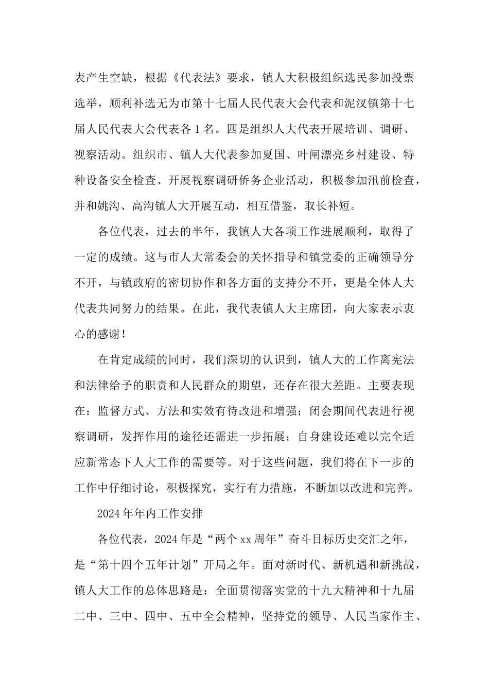 2024年XX乡镇人大工作总结_第3页