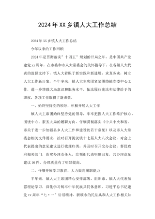 2024年XX乡镇人大工作总结