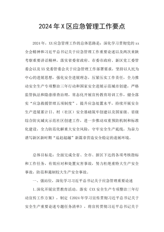 2024年X区应急管理工作要点