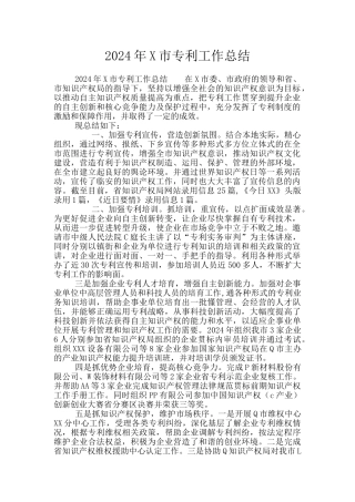 2024年X市专利工作总结