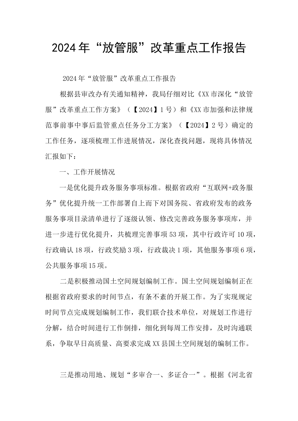 2024年“放管服”改革重点工作报告_第1页