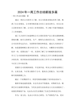 2024年一周工作总结新版多篇