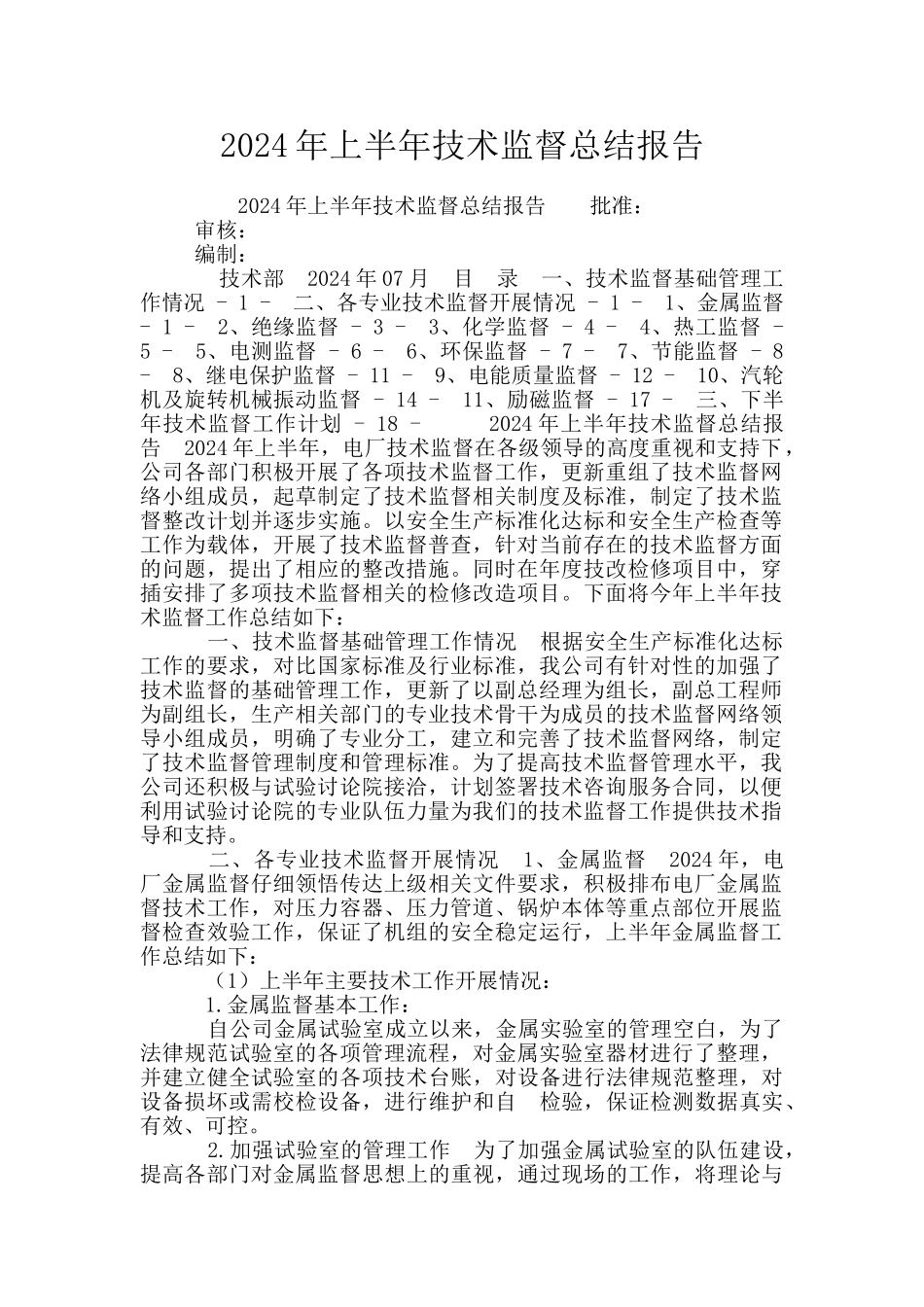 2024年上半年技术监督总结报告_第1页