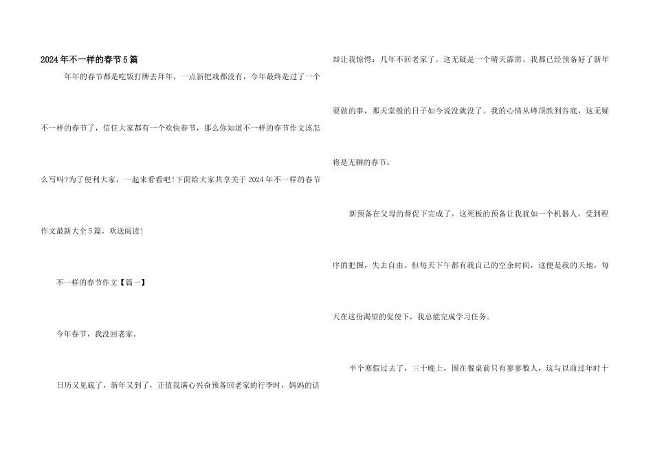 2024年不一样的春节5篇_第1页