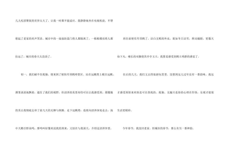 2024年不一样的春节5篇_第2页