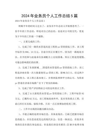 2024年业务员个人工作总结5篇