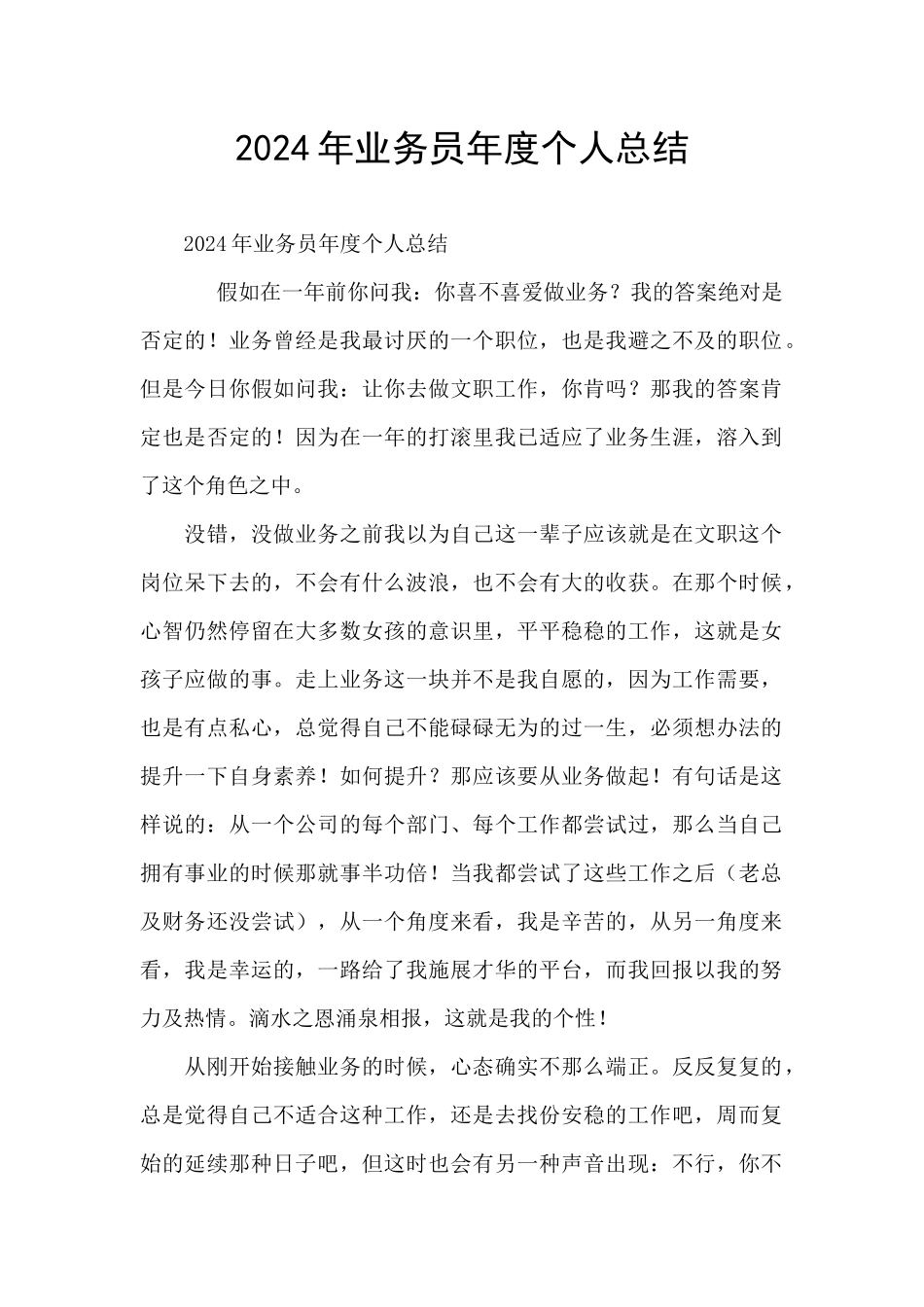 2024年业务员年度个人总结_第1页