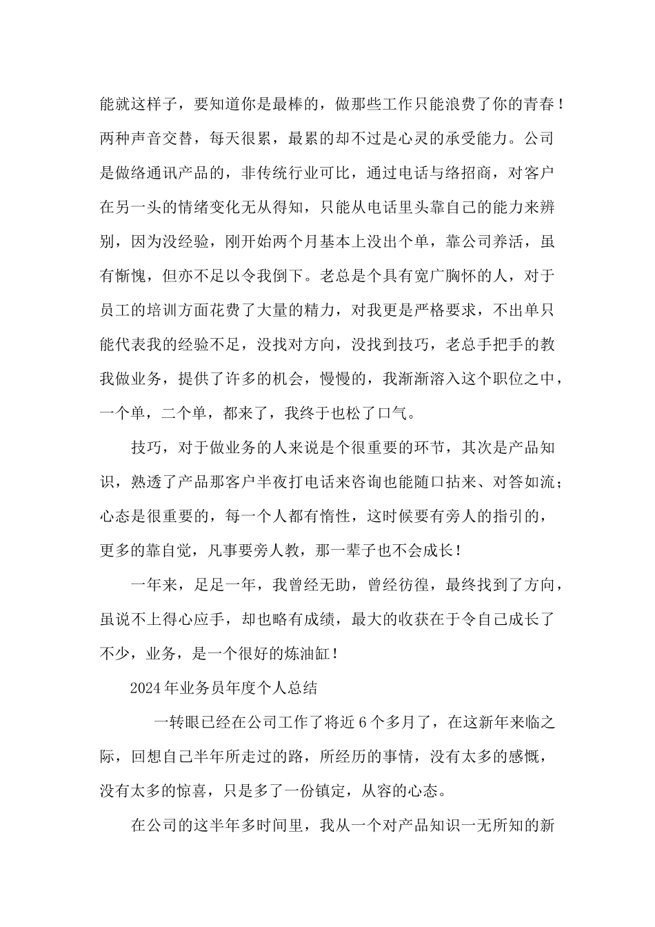 2024年业务员年度个人总结_第2页