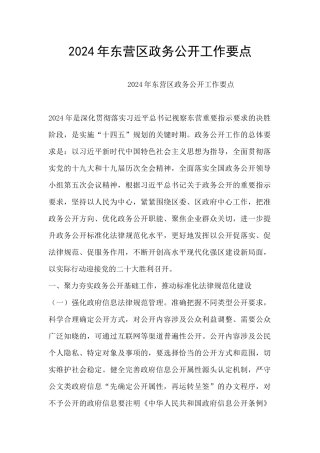 2024年东营区政务公开工作要点