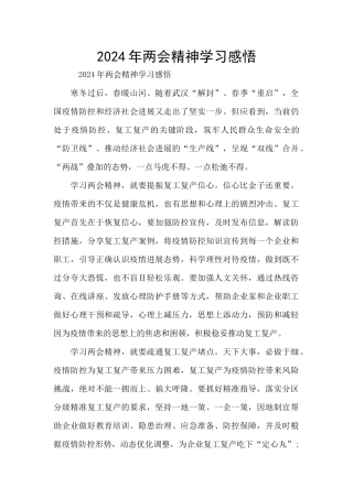 2024年两会精神学习感悟