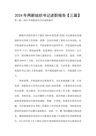 2024年两新组织书记述职报告