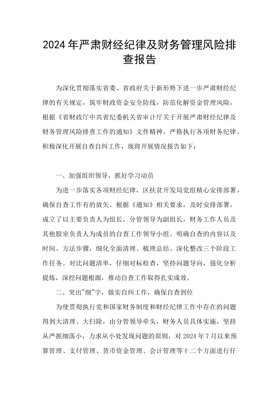 2024年严肃财经纪律及财务管理风险排查报告_第1页