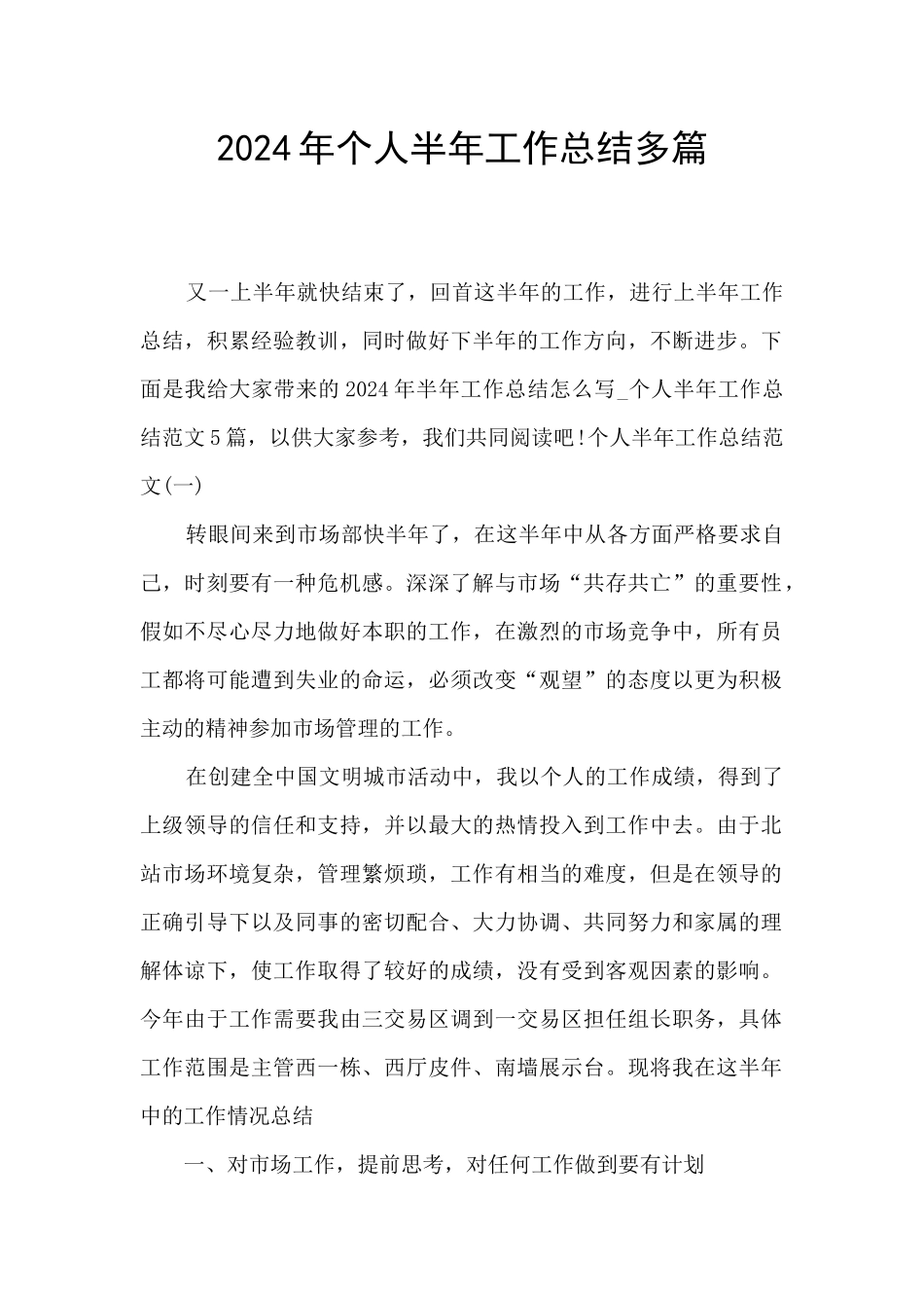 2024年个人半年工作总结多篇_第1页