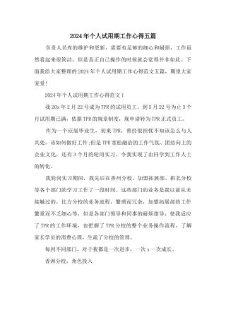2024年个人试用期工作心得五篇