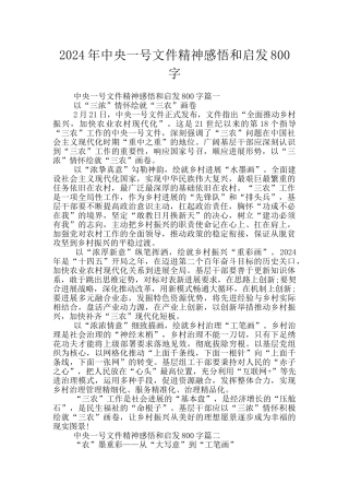 2024年中央一号文件精神感悟和启发800字