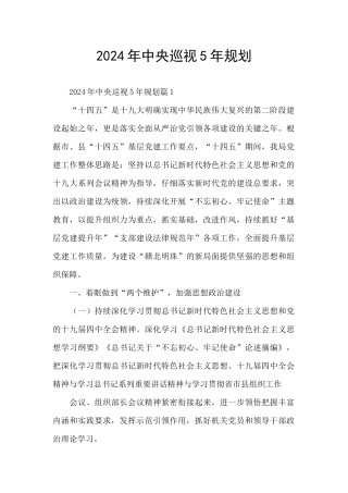 2024年中央巡视5年规划