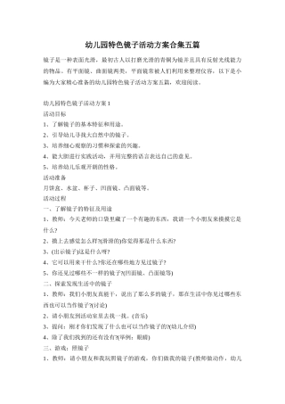 幼儿园特色镜子活动方案合集五篇