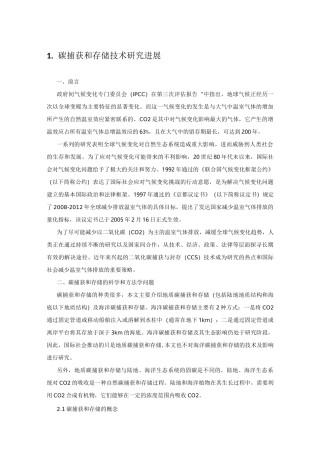 ~~碳捕捉与封存(CCS)技术