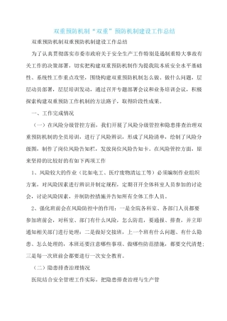 双重预防机制 “双重”预防机制建设工作总结